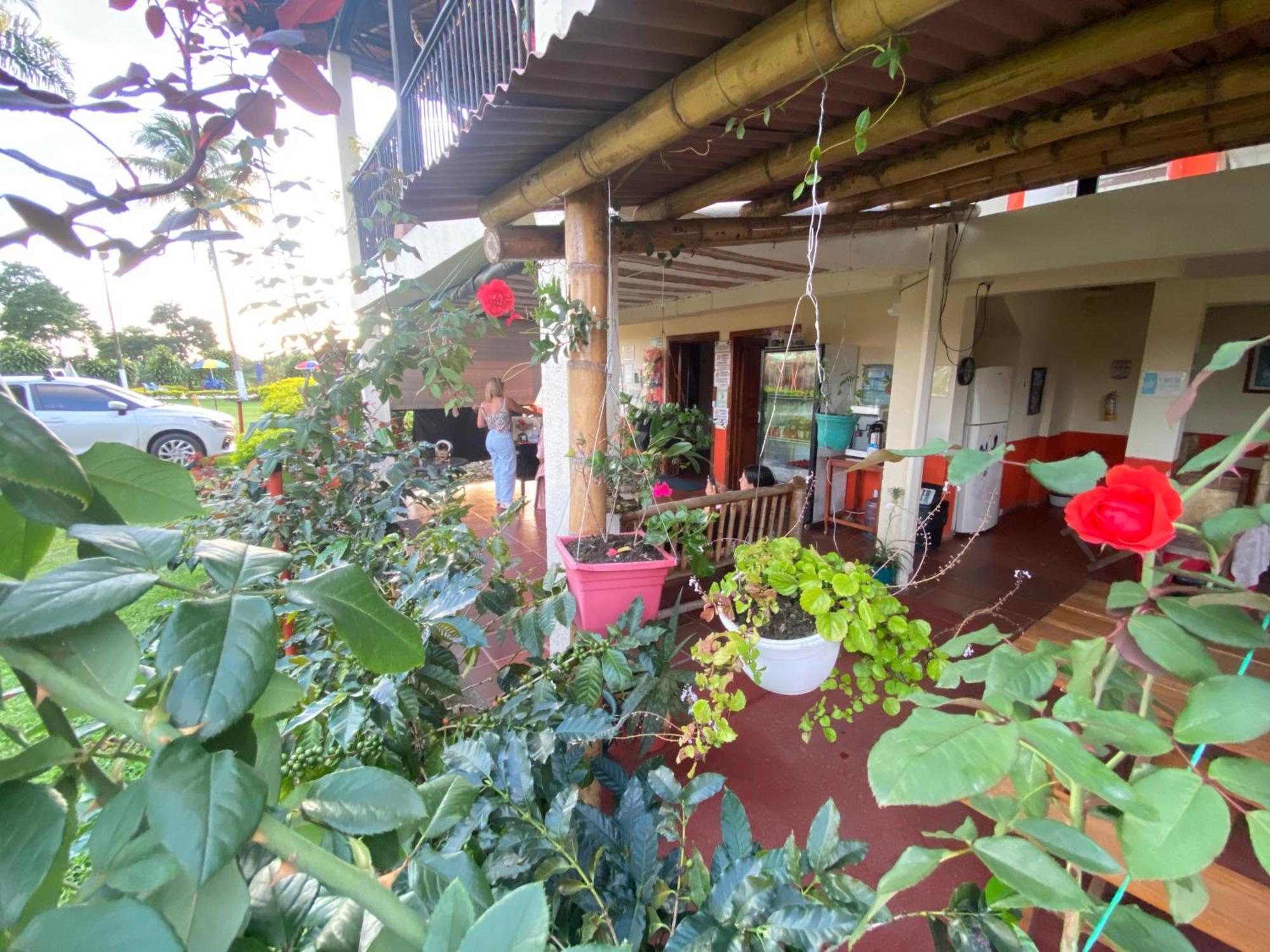 Finca Hotel Los Cocos Montenegro Εξωτερικό φωτογραφία
